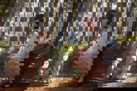 303087.jpeg